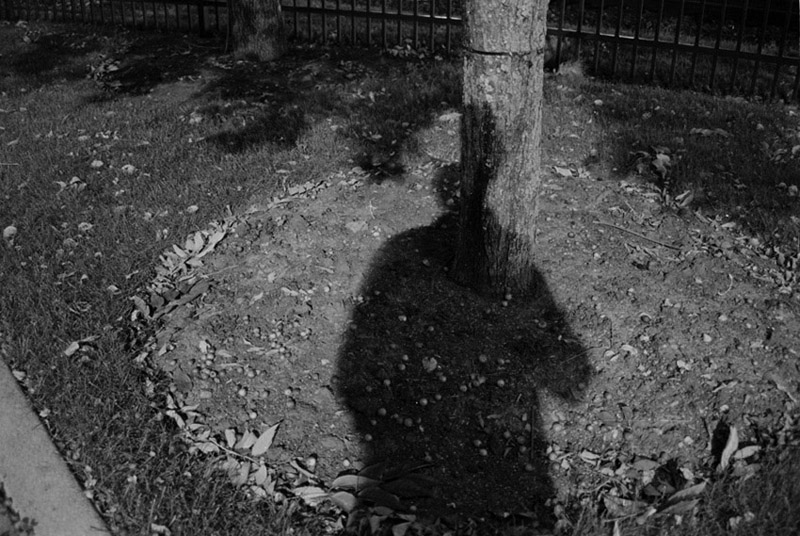 self portrait shadow