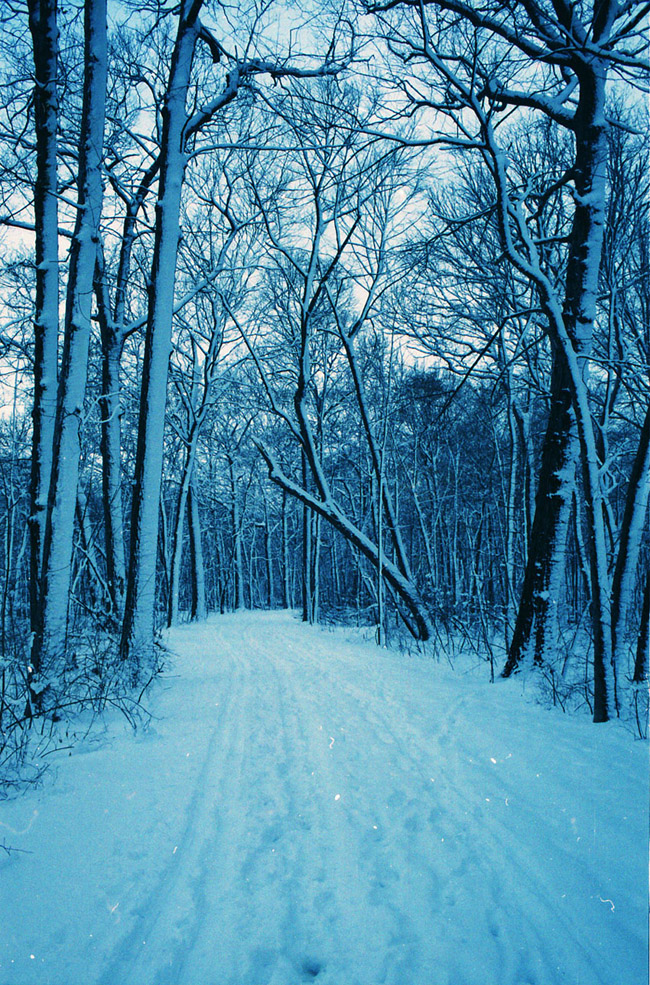 blue snow path
