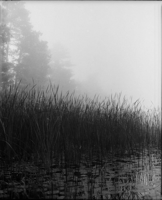 foggy lake 1