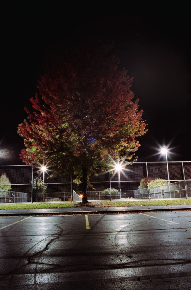 autumn tree and tennis court 1