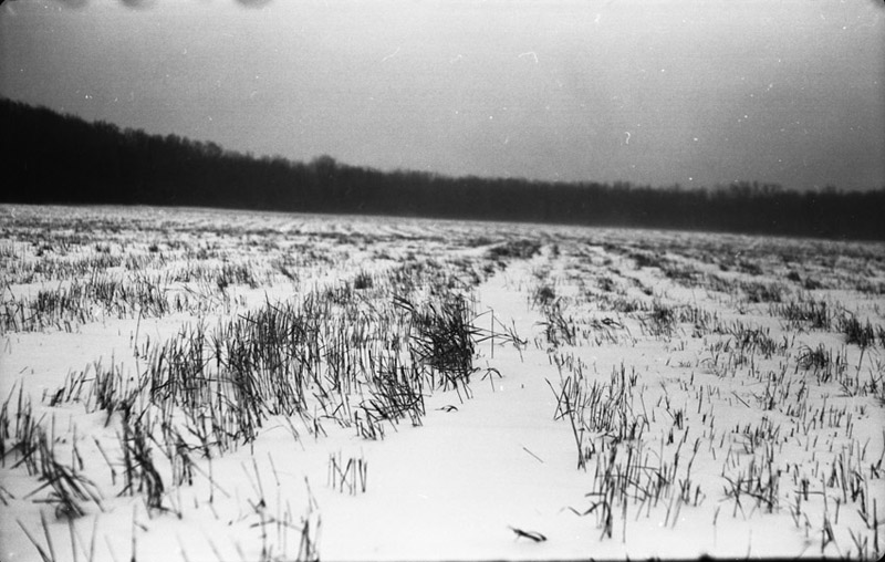 prairie in winter 2