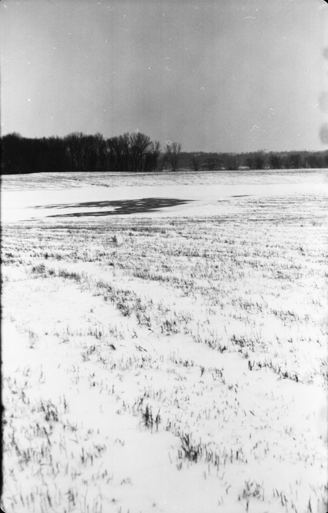 prairie and pond in winter