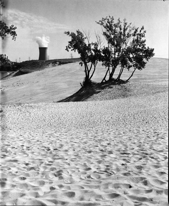 dunes, trees, and cooling tower