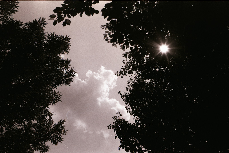 Sun Through Trees and Clouds 1