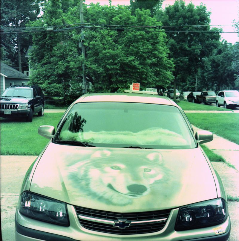 Impala Wolf 1