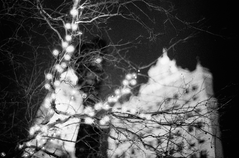 Wrigley and Christmas Lights