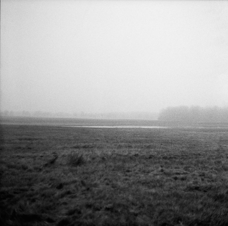 Grainy Foggy Field and Pond