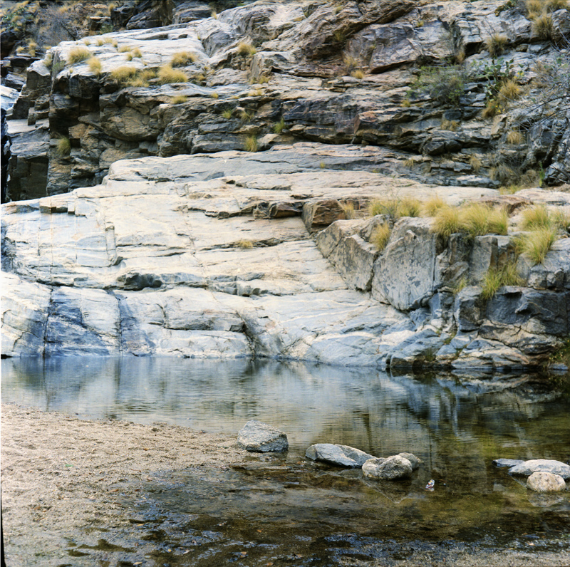 Pond in Sabino Canyon