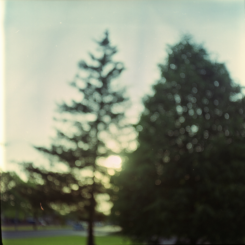 Out of Focus Sunset Through Trees