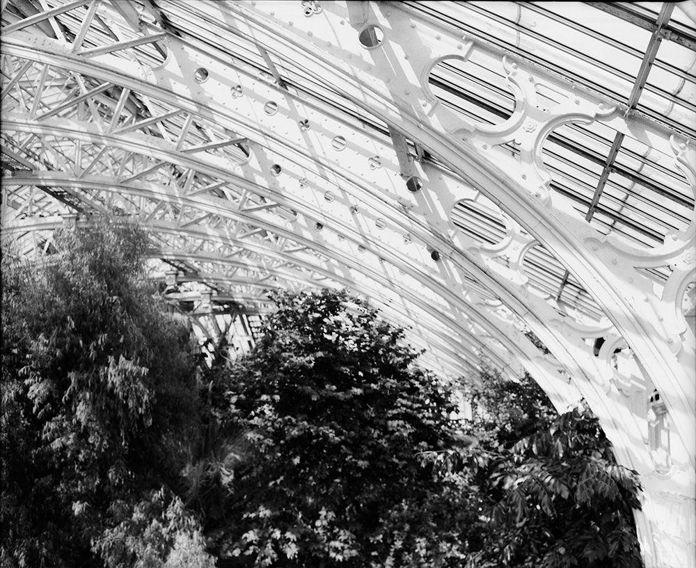 Kew Temperate House Roof