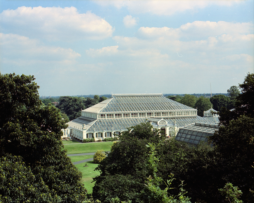 Temperate House from Treetops