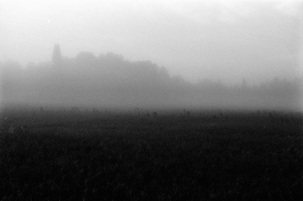 Foggy Field and Treeline