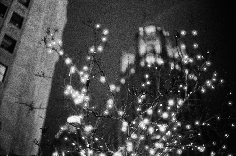 Christmas Lights and Tribune