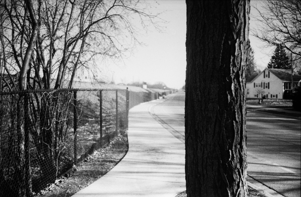 Rails, Sidewalk, and Tree