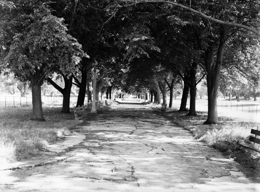 Lincoln Park Path