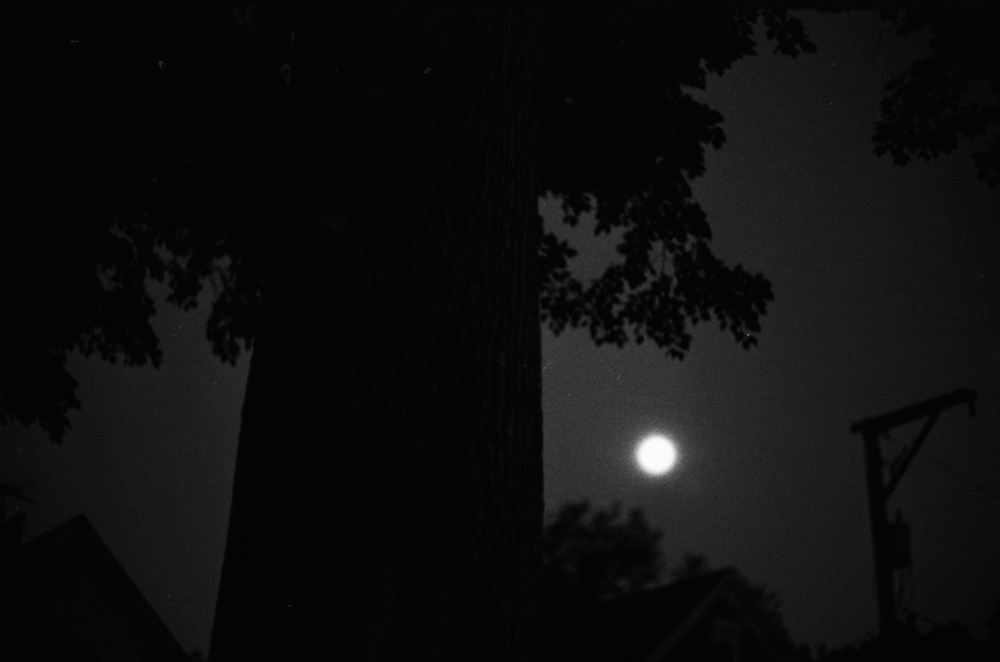 Moon over the Neighborhood