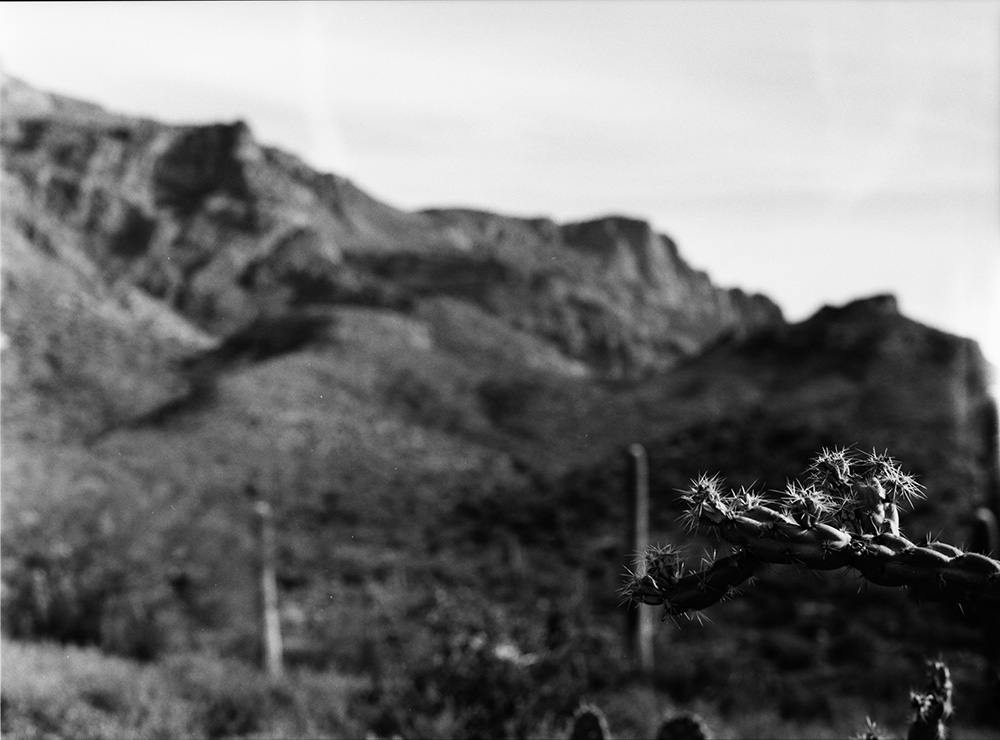 Cacti and Superstition Mountains 2