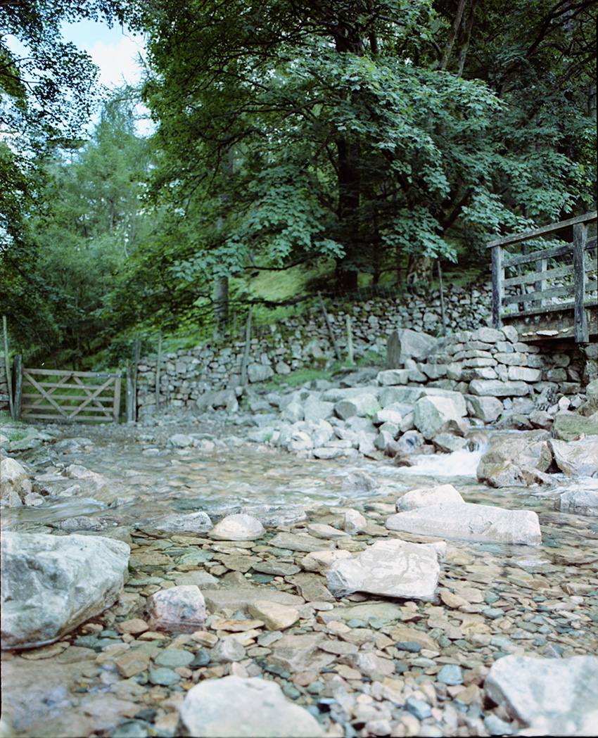 Stone Wall and Stream