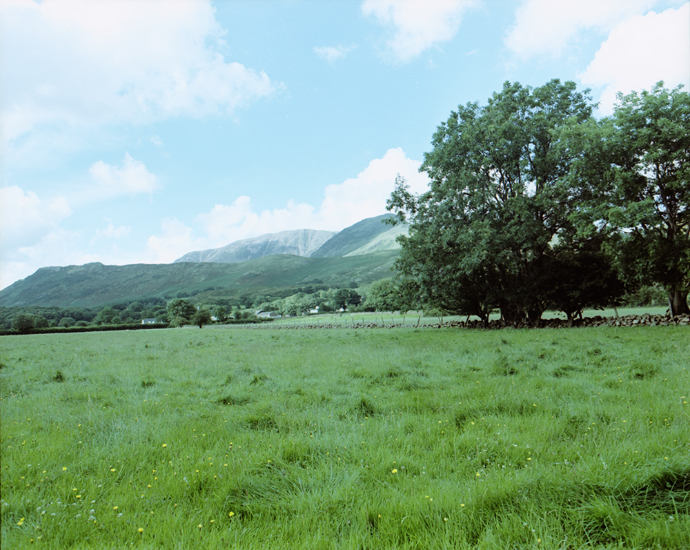 Lake District Valley and Trees