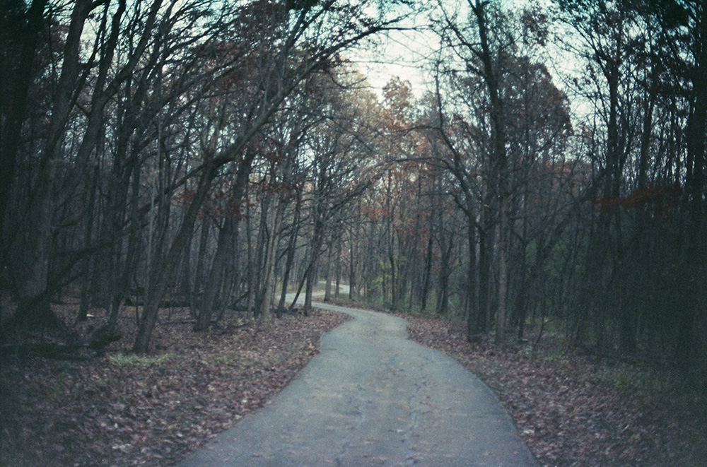 Path Through The Woods