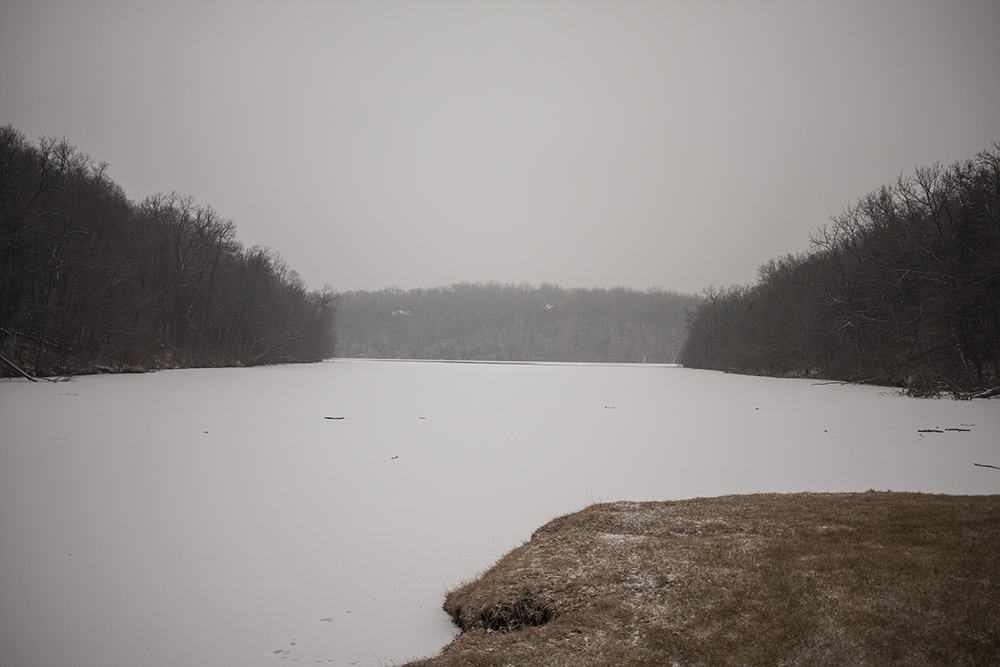 Grass and Frozen Lake 2