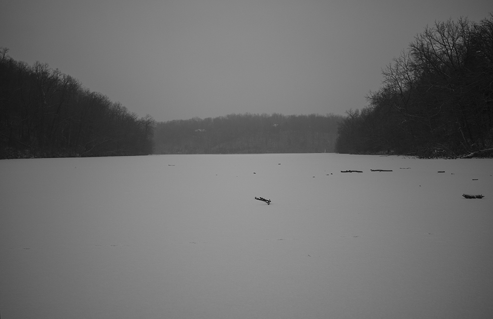 Frozen Lake and Sticks