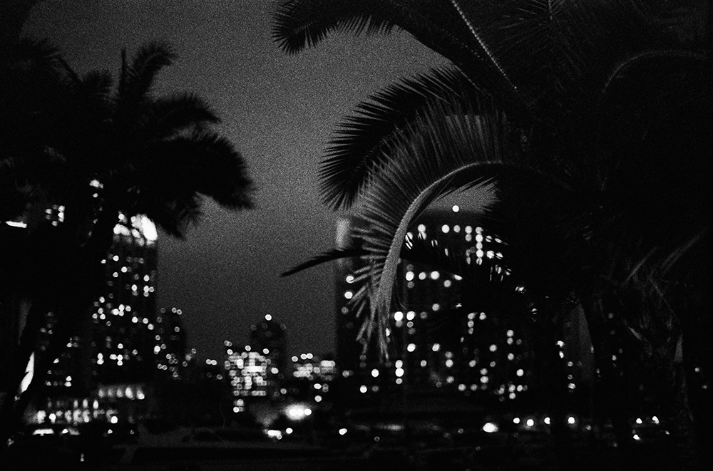 Palms and Downtown San Diego