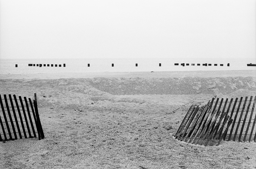Fences at the Beach