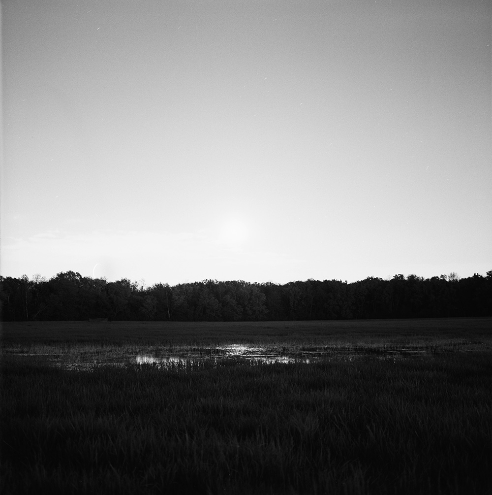 Field and Pond at Night