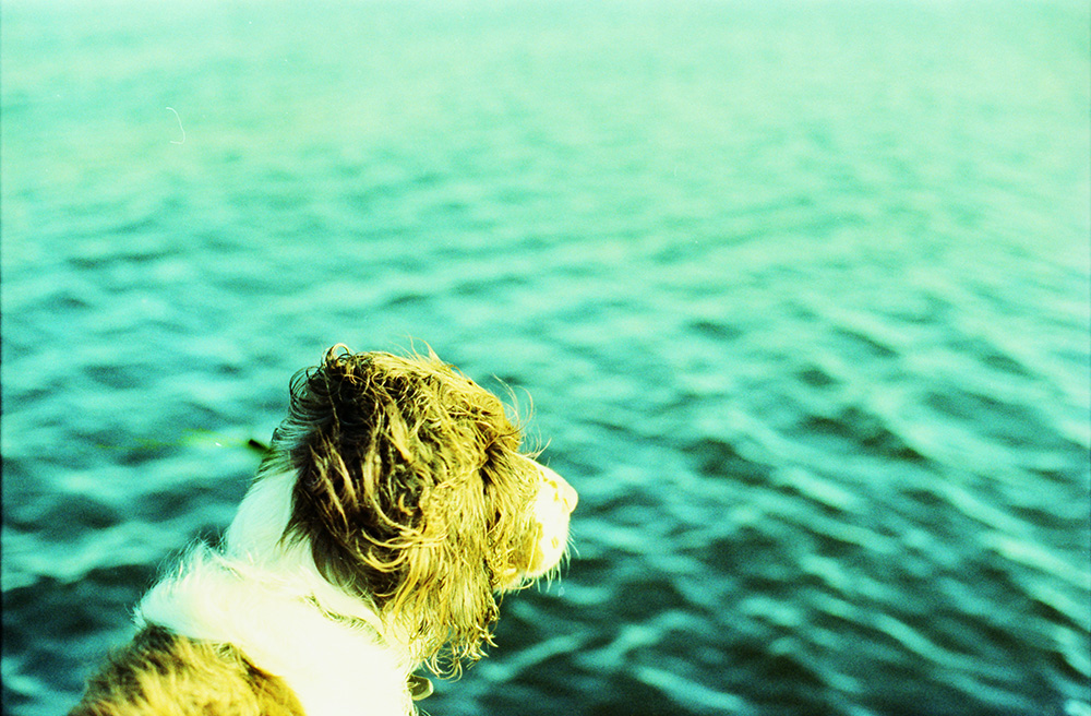 Cross-Processed Cody and Lake