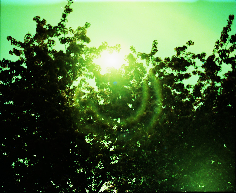 Cross-Processed Moon and Blossoming Tree 1