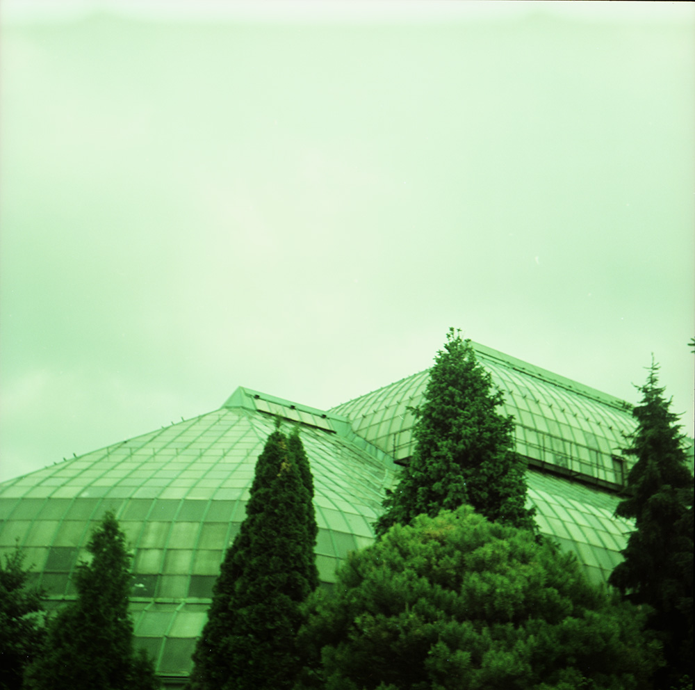 Cross-Processed Lincoln Park Conservatory