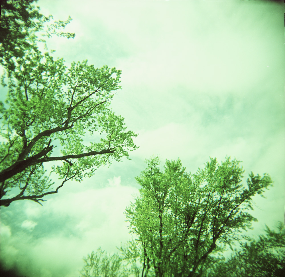 Cross-Processed Clouds and Trees 4
