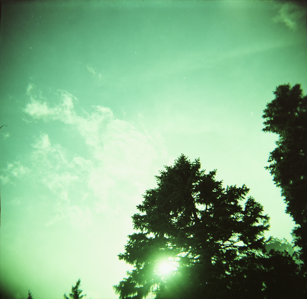 Cross-Processed Clouds and Trees 5