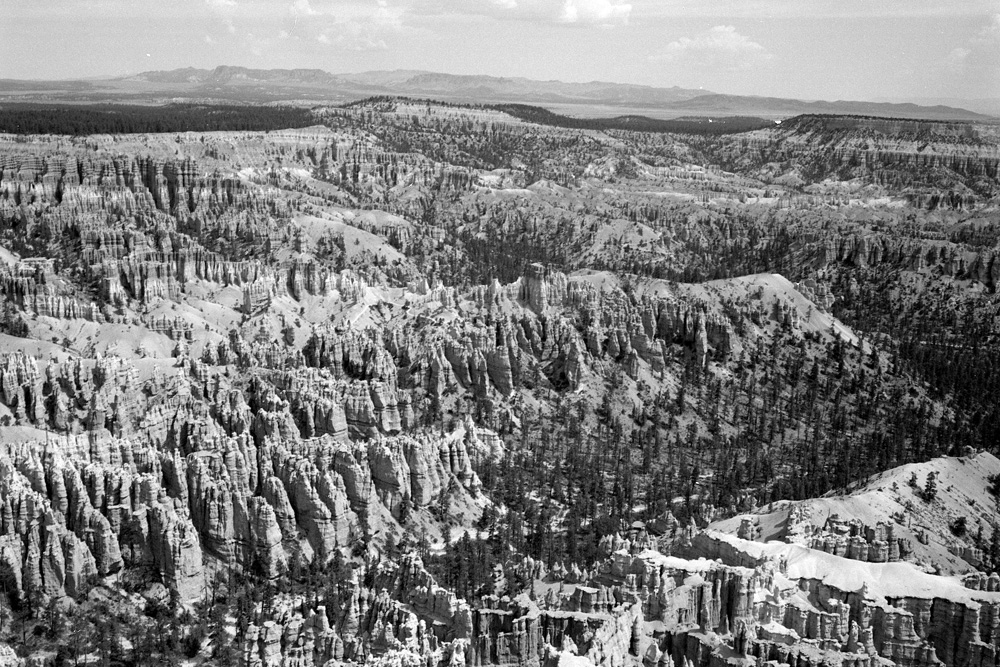 Bryce Canyon Covered in Trees and Hoodoos