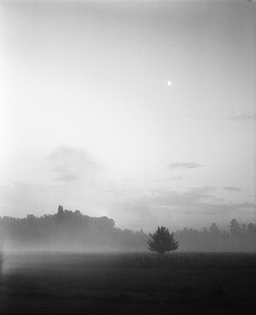 Fog and Full Moon 5