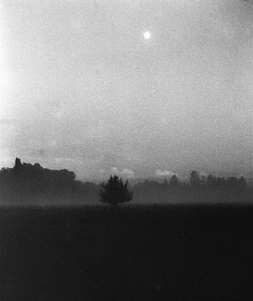 Fog and Full Moon 7