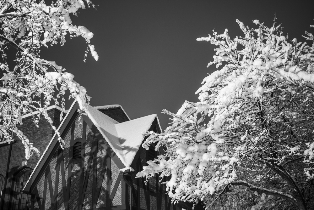 Fresh Snow on a Tree and WPA Building 1