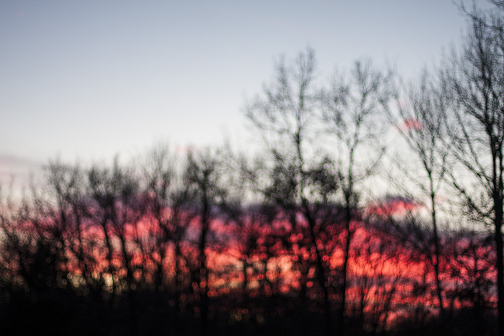 Out of Focus Sunset Through Trees