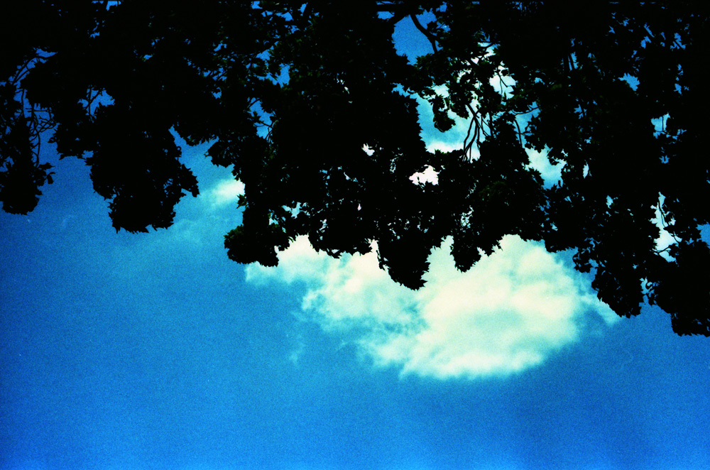 Clouds Behind Maples