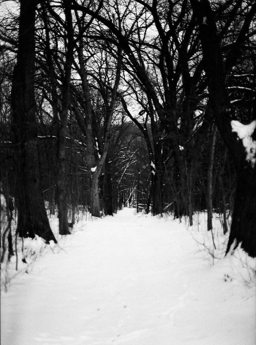 Snow-Covered Path Through Trees