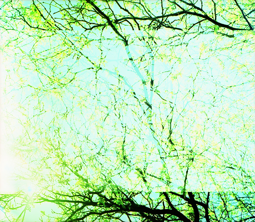 Cross-Processed Lincoln Park Double Exposure