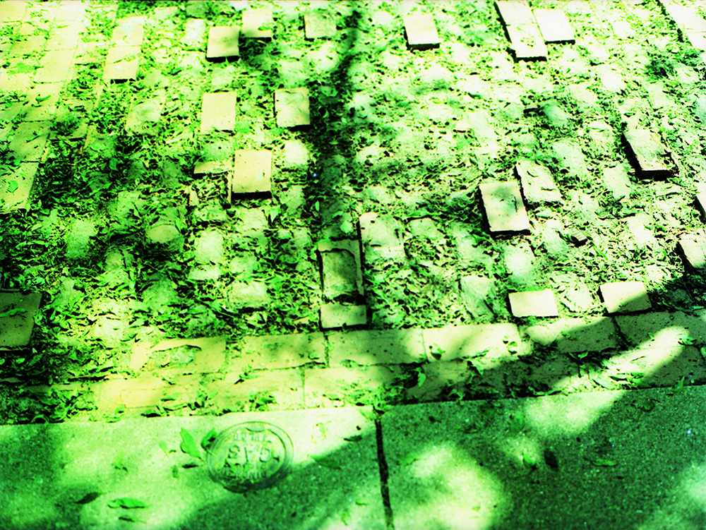 Cross-Processed Lincoln Park 4
