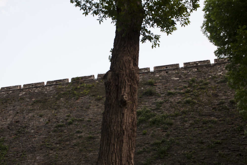 Nanjing City Wall 4