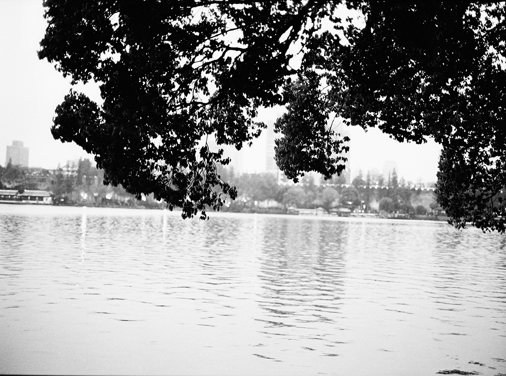Xuanwu Lake Park 5