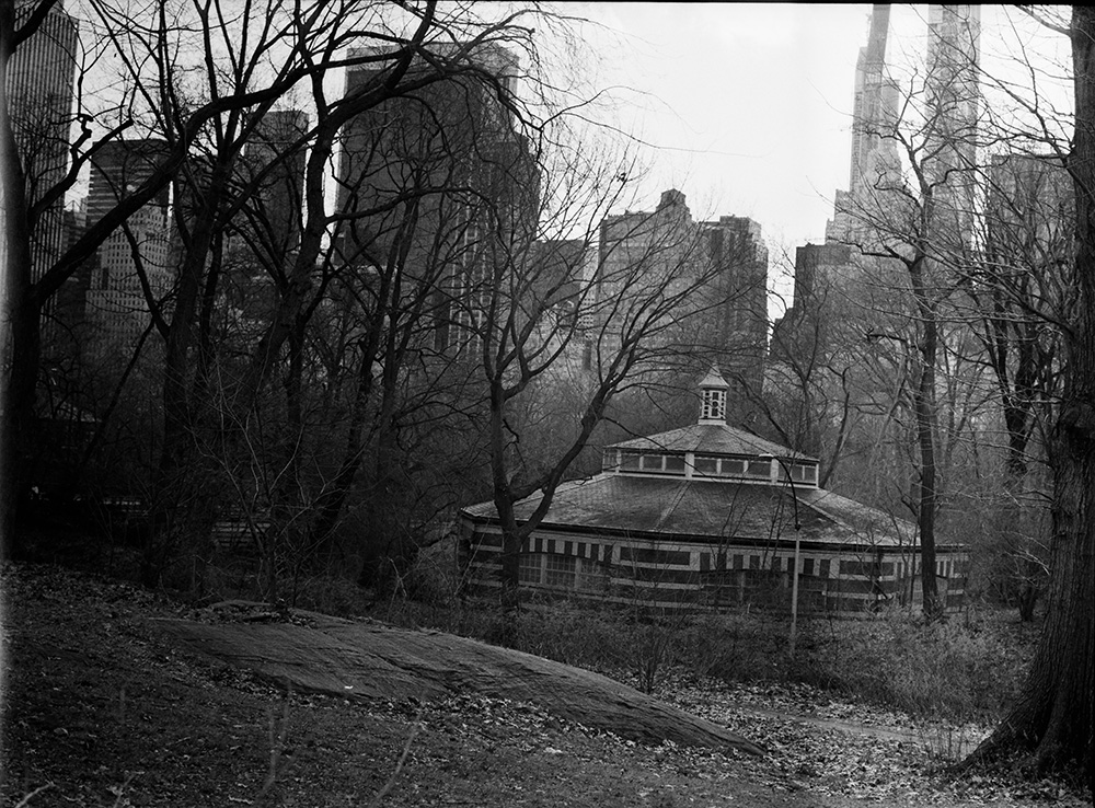 Central Park 9