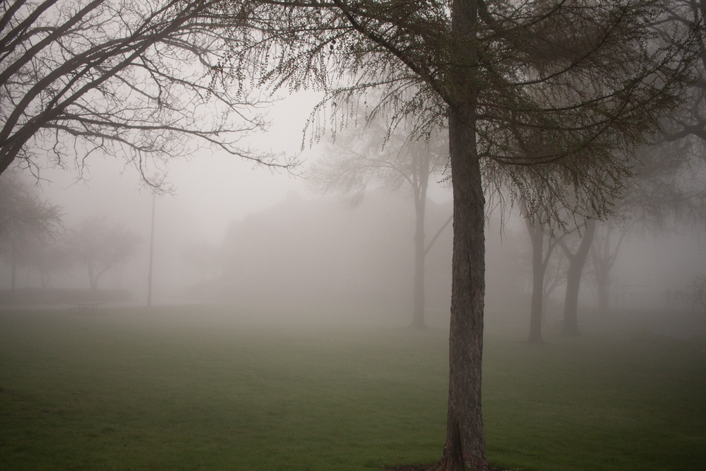 Neighborhood Fog 2