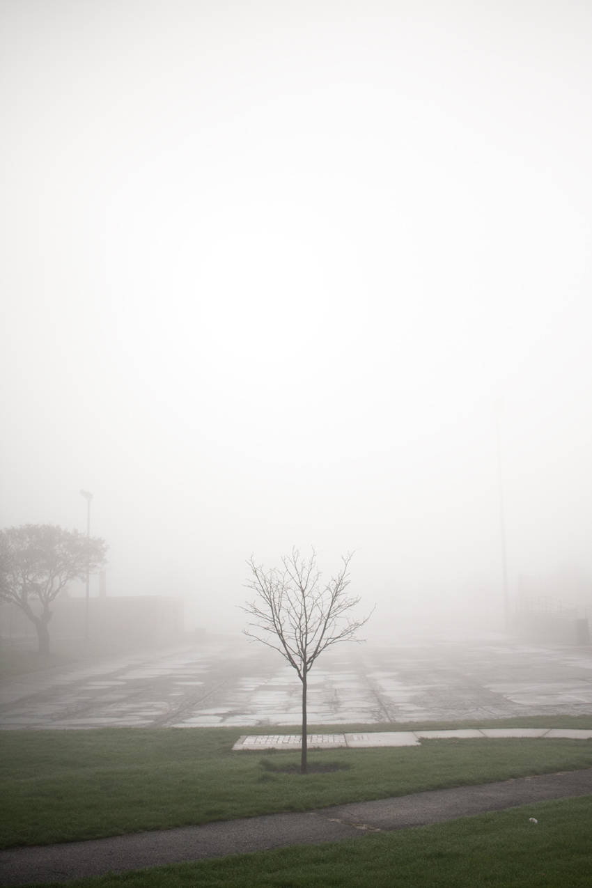 Neighborhood Fog 5