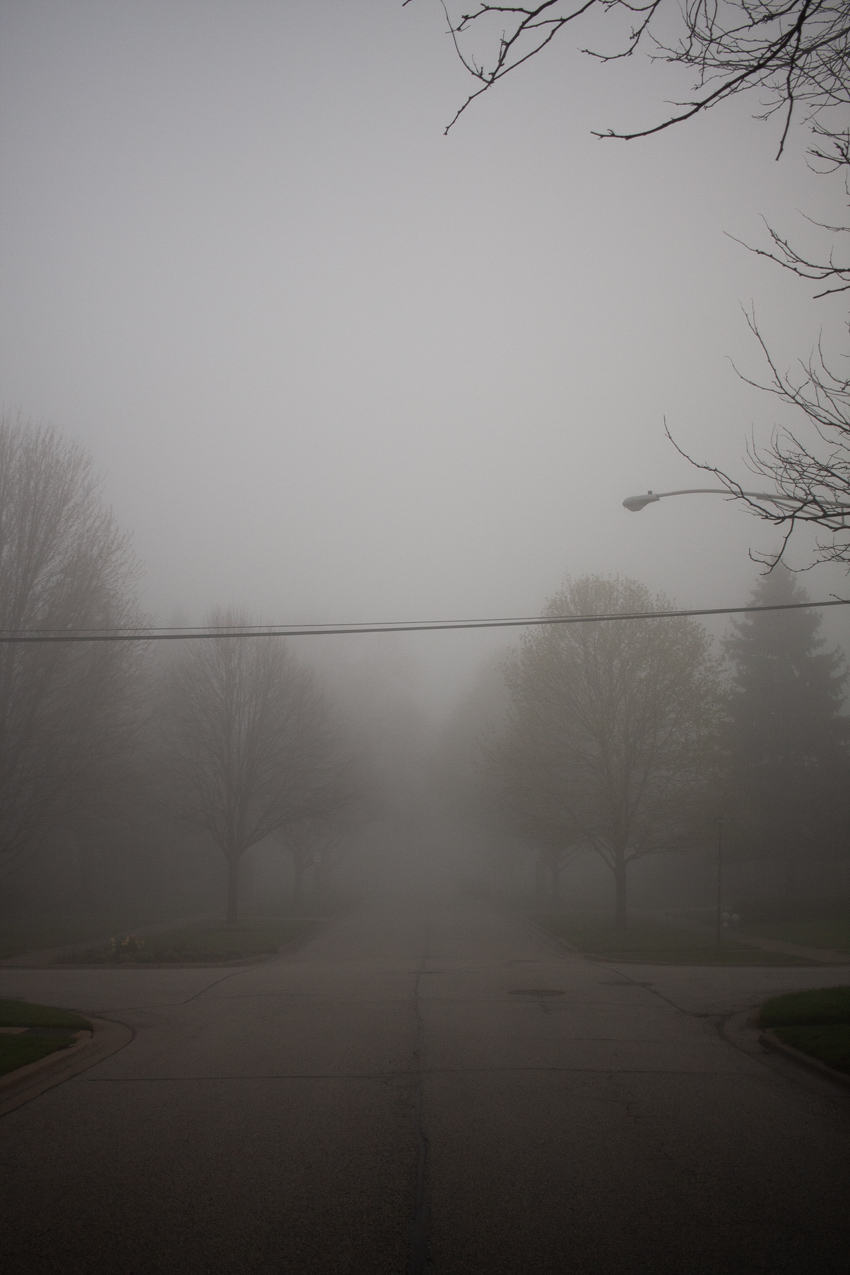 Neighborhood Fog 25