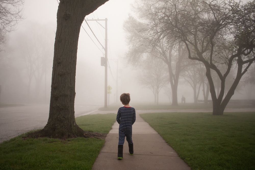 Neighborhood Fog 31
